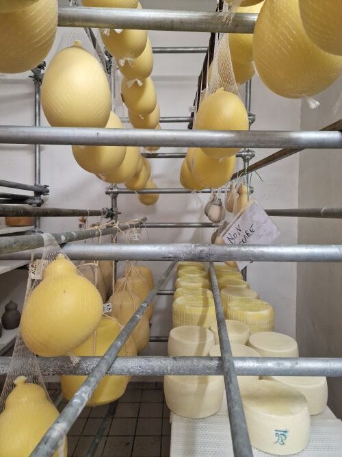 Caciocavallo Cheese Making, Ceglie Messapica, Puglia