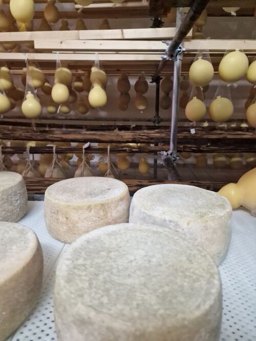 Making cheese, Ceglie Messapica, Puglia, Italy