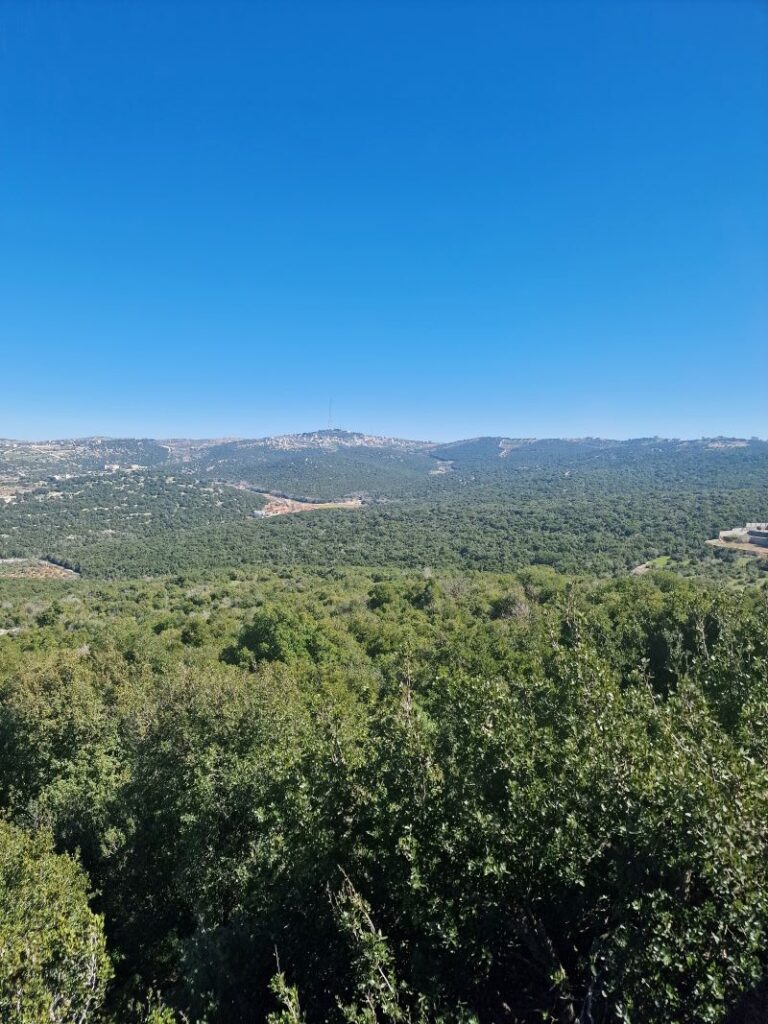 Ajloun Forests & Hills, Jordan