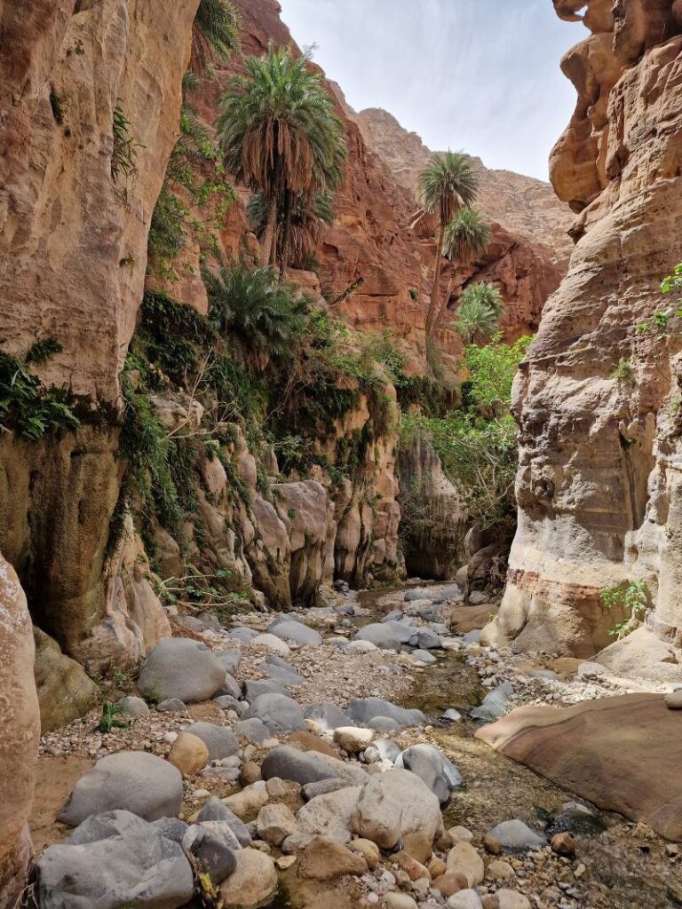 Wadi Ghwayer Hike, Jordan